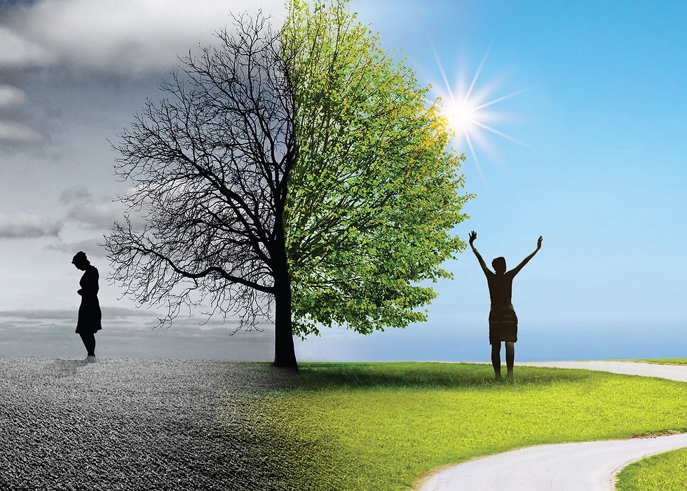 Conquering Your Fibromyalgia - Print-rea
