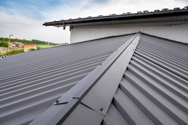 Corrugated metal roof in gray with screws, viewed from above. Blue sky and distant greenery in background, creating a clean, modern feel.