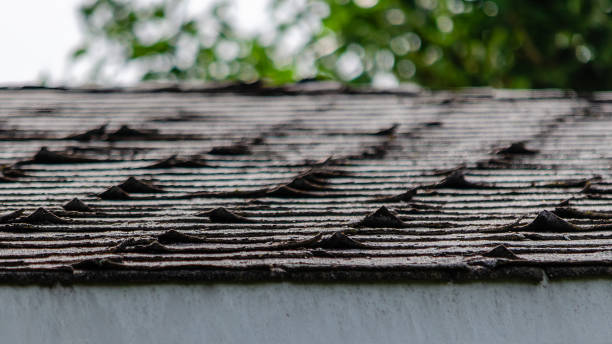 Close-up of a weathered black shingle roof with moss, viewed from an angle. Blurred green foliage in the background, under a cloudy sky.
