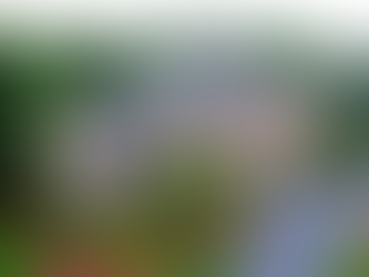 How Roofing Estimates Are Calculated (Materials, Labor, Waste)