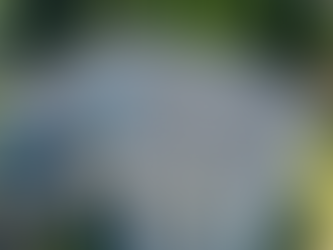 Top 7 Warning Signs Your Roof May Fail This Year (Berks County Guide)