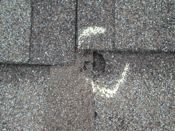Damaged roof shingle marked with a white chalk arc on a textured brown surface, indicating wear and the need for repair.