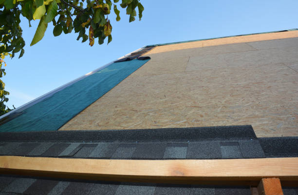 Rooftop under construction with new shingles and plywood, tree leaves in the foreground, and blue sky in the background.