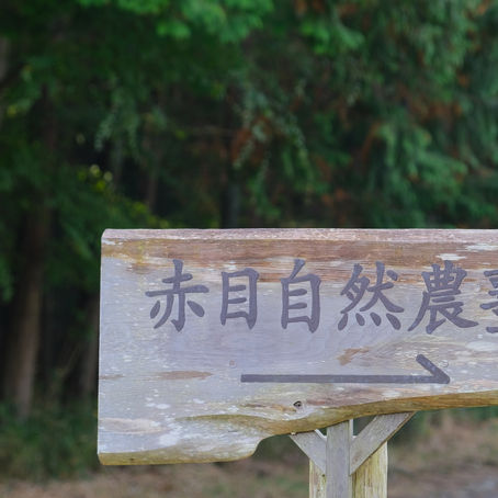 赤目自然農塾