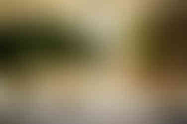 summer english garden wedding inspiration, Dorset wedding photographer