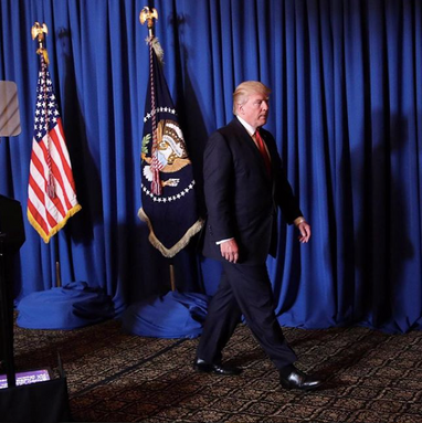 President Donald J. Trump Walking on KANE 'DaVinci' Carpet - India Carpets