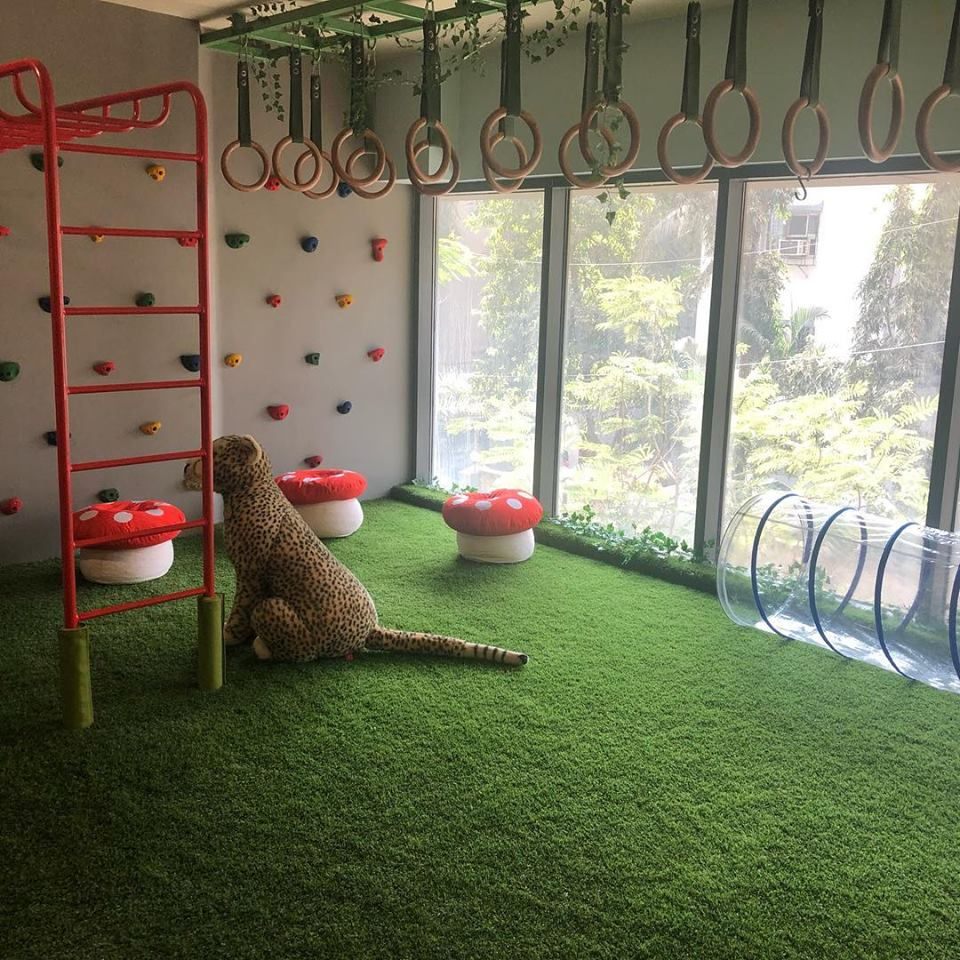 Artificial Grass