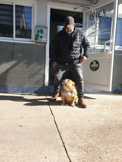 8435a386-3817-498c-9d68-5e68fc940a84