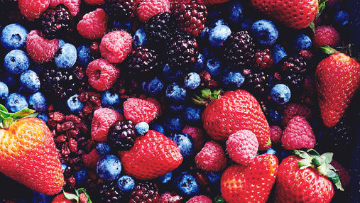 Nutrition Therapy That Meets You Where You Are: 5 Elements Coaching Now Partners with Berry Street