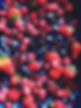Berries