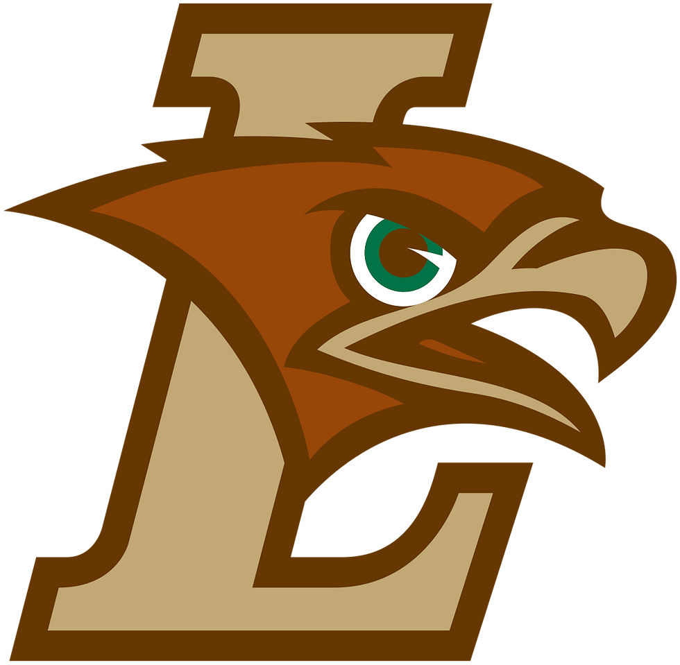 lehigh university mountain hawks