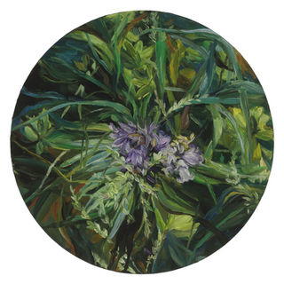 Still life in the understory_V.jpg