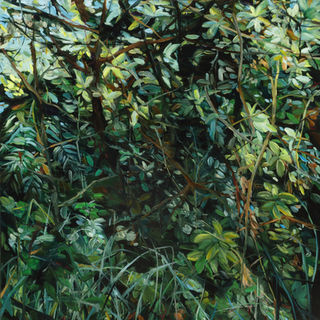 A passage to a clearing.jpg