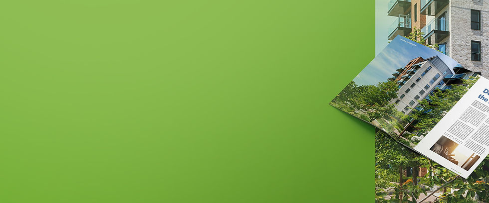 InsightMagazineBanner-WebLtl.jpg