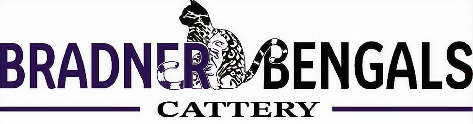 BBLogo_edited.jpg