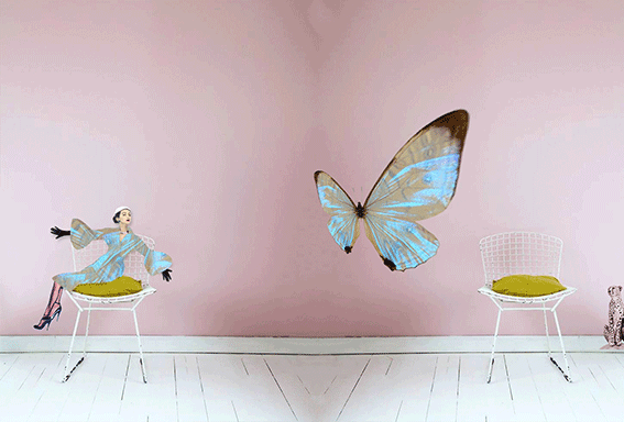 Gif III  - Madame Butterfly