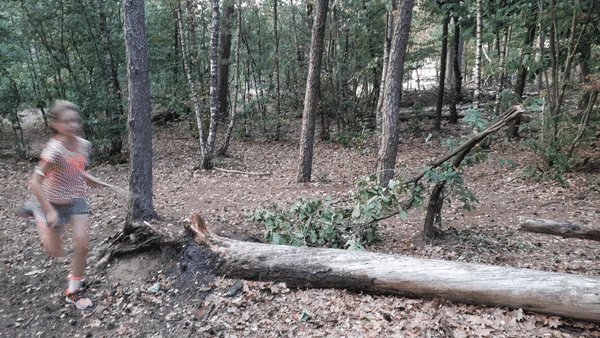 ezgif-6-f09b85c873b8.gif
