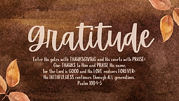 TWS Reading Plan 17-24.png