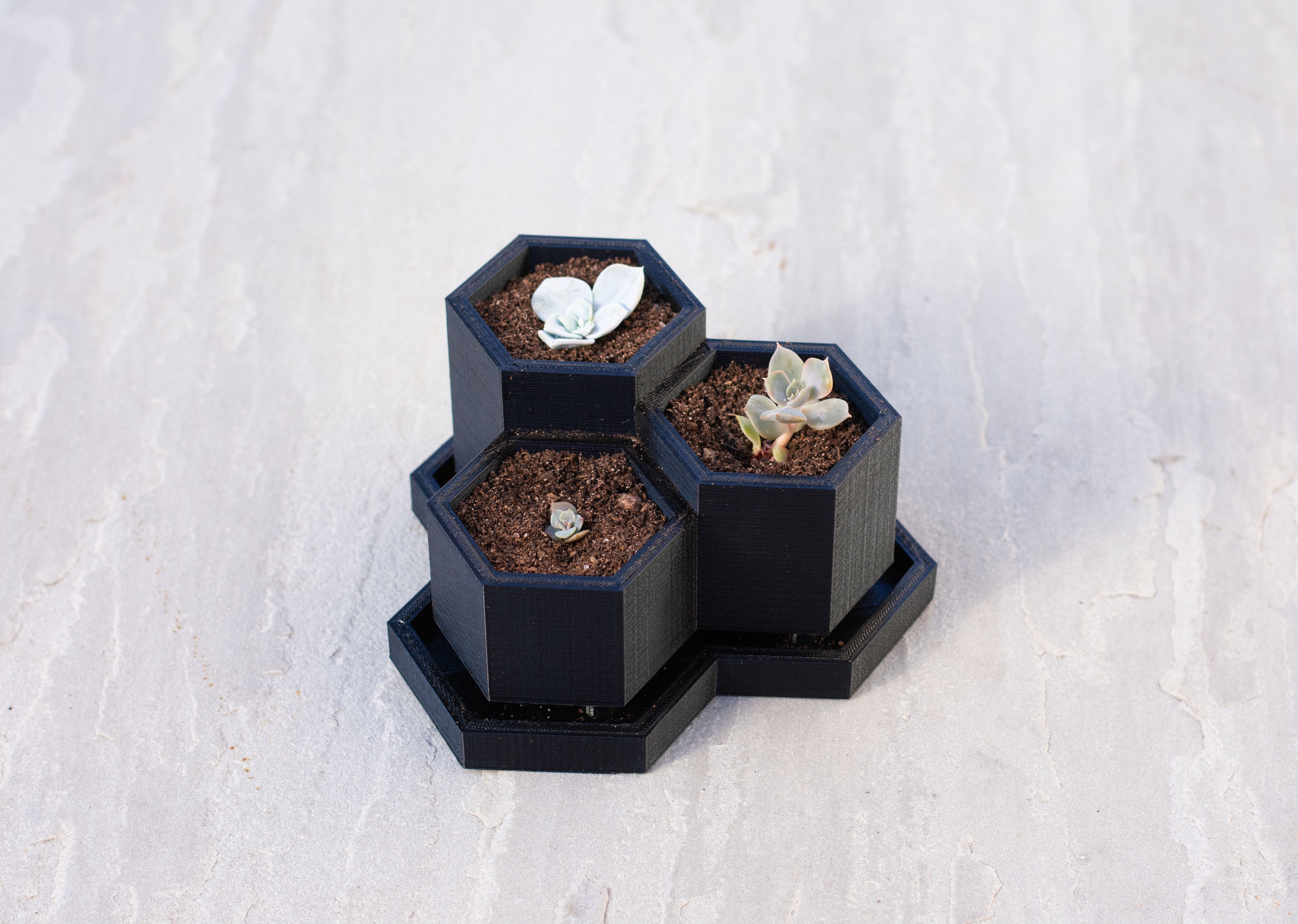 Mini Hexagon Planter
