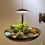 Thumbnail: Feur Series - Hanging Lamp