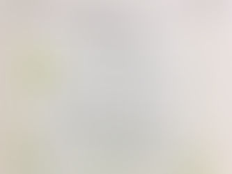 ミニコンサート