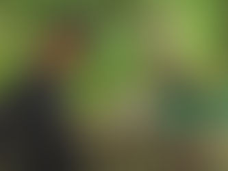 Previa contra Atlético Nacional por la Fecha 17