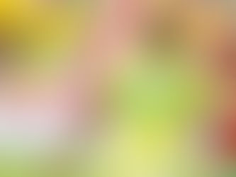 Atlético Bucaramanga sumó un valioso punto en Ibagué