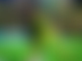 El Leopardo sumó un punto frente a Deportes Tolima