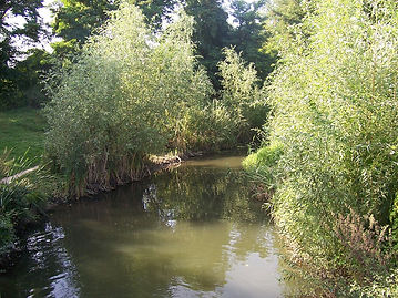 bievre.JPG