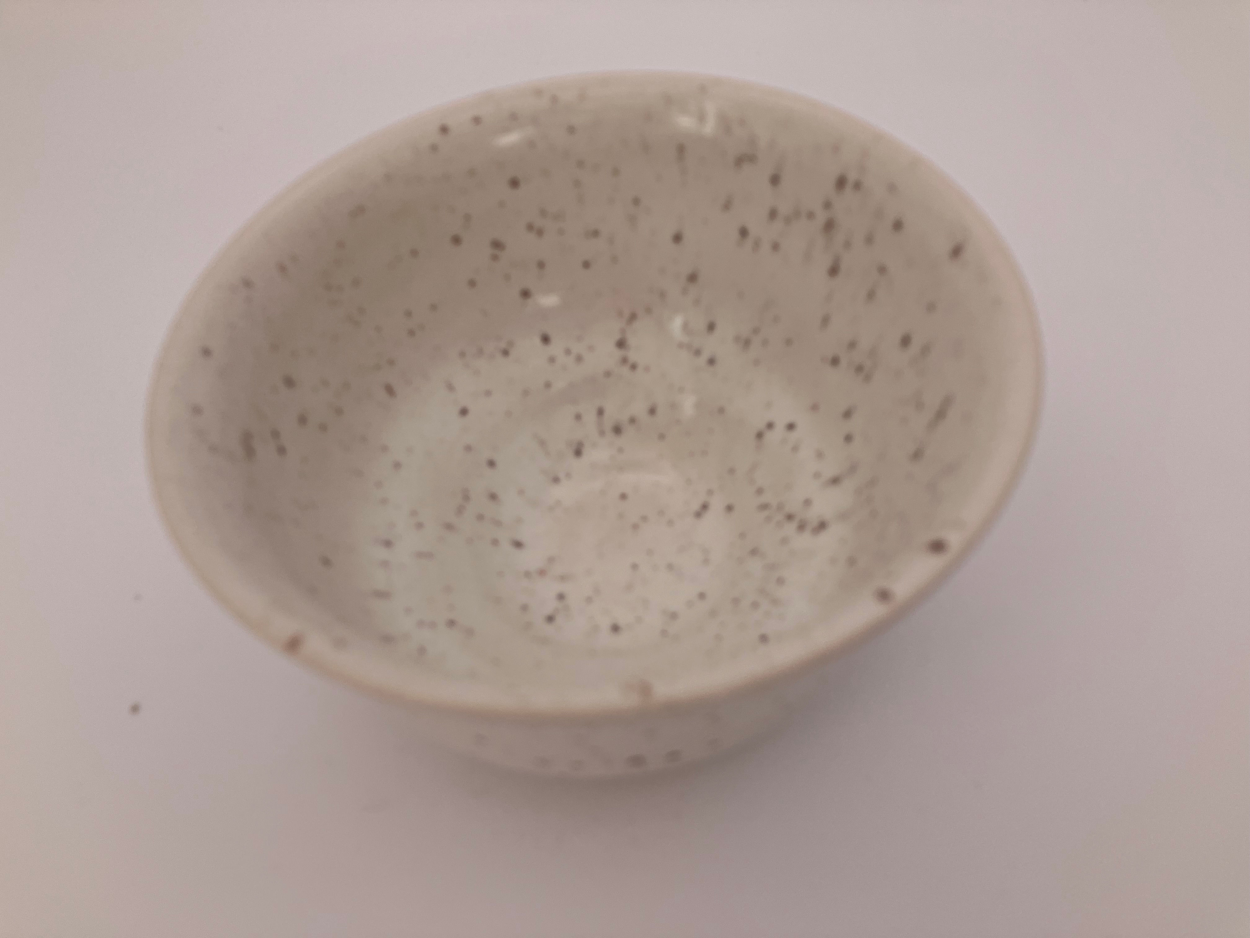 Speckle Bowl