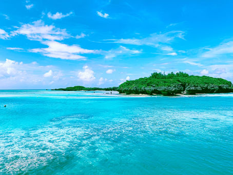 取手市プレミアム付き商品券が使えます!