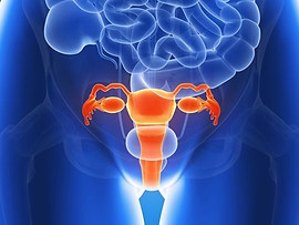 cancer-de-l-uterus_c1975a0a4c0ab1a4dbbb8