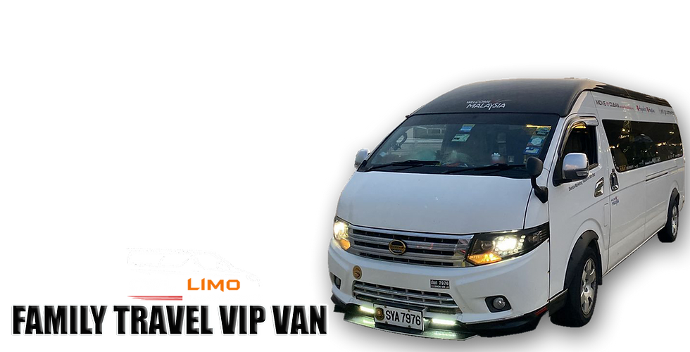 FAMILY TRAVEL VIP VAN
