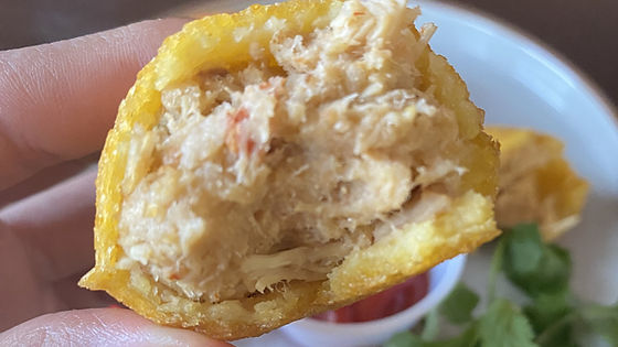 12 Pack - Chicken Empanada