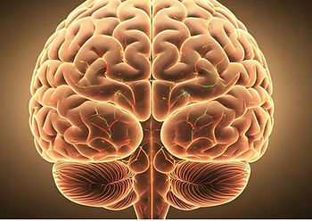Évaluation des symptômes liés à un déséquilibre en neurotransmetteurs