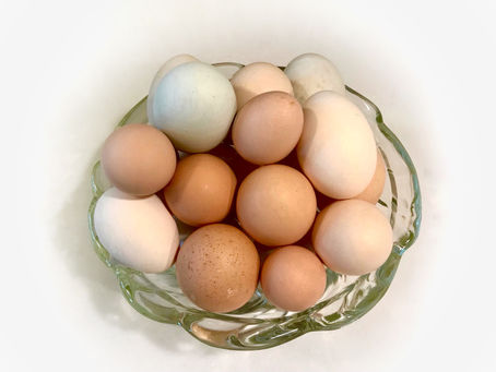 Duck Eggs vs Chicken Eggs: What's the difference?