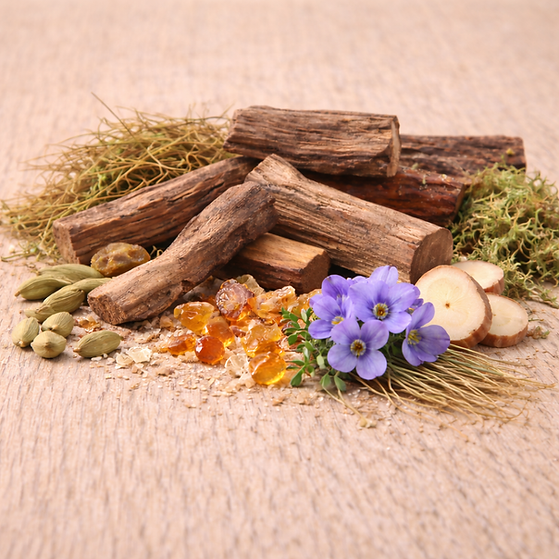 Santal Wood Retreat 2.png