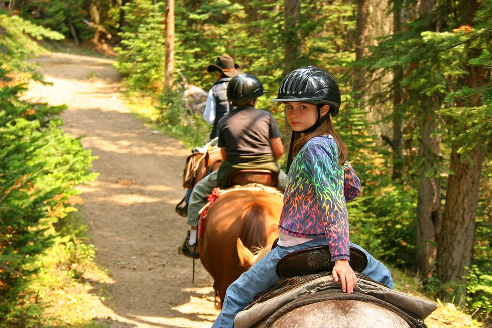 family on horseback ride in the mountains