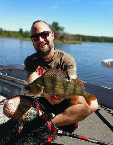 Barsch aus dem schwedischen Schärengarten