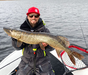 Schärenhecht Schweden