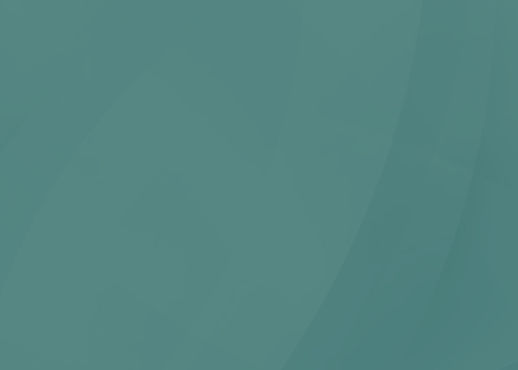 bg-topo_edited.jpg