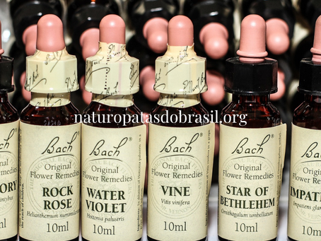 Terapia floral – pequeno glossário