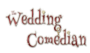 the wedding comedian