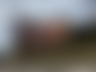 In Memoriam: Dennis E. Stewart, 1948-2020