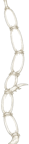 ChatGPT Image May 24, 2026, 01_04_48 PM.png