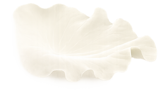 Lotus leaf juice