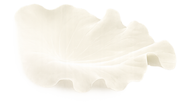 Berberine GLP-1 alternative