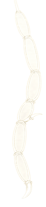 ChatGPT Image May 24, 2026, 01_41_04 PM.png
