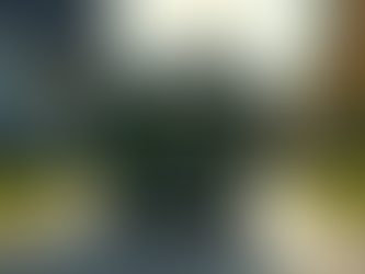 Affordable Dumpster Prices for Every Budget