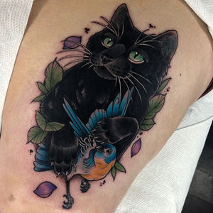 Aries Cat Portrait